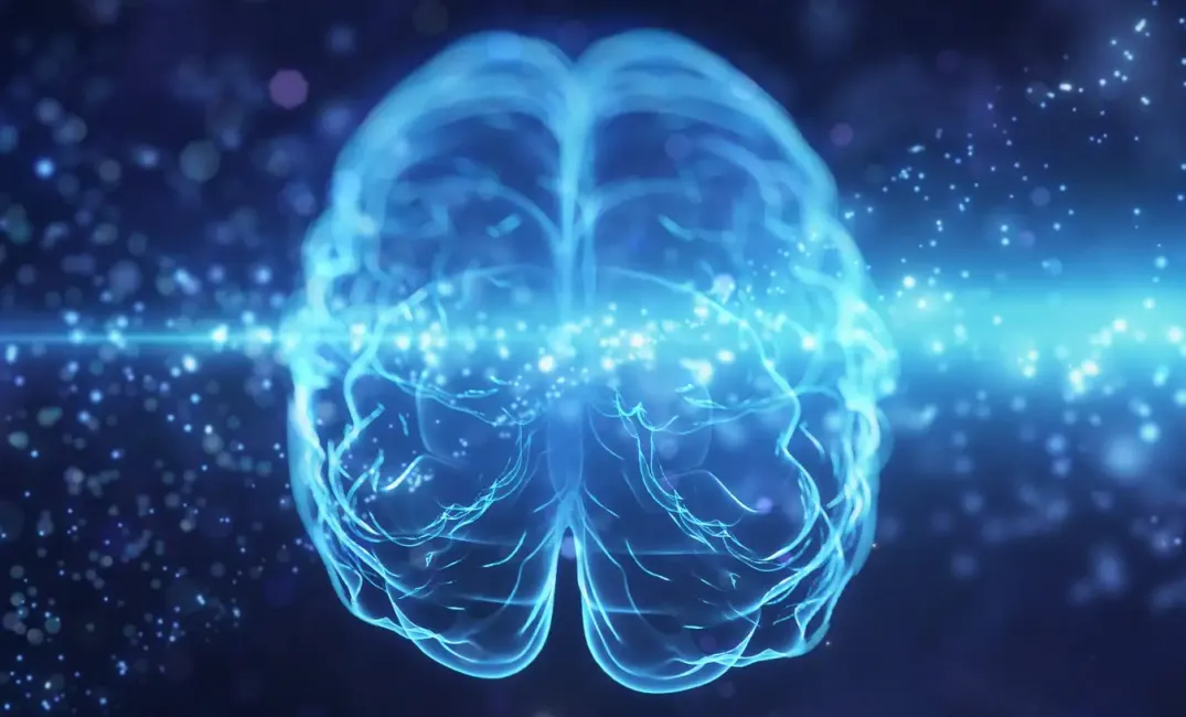 Brain on Criticism